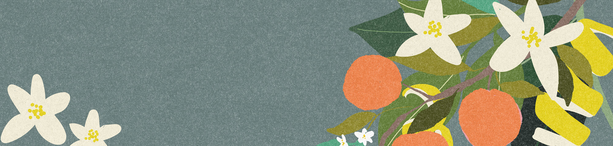 Decorative, illustrated bow