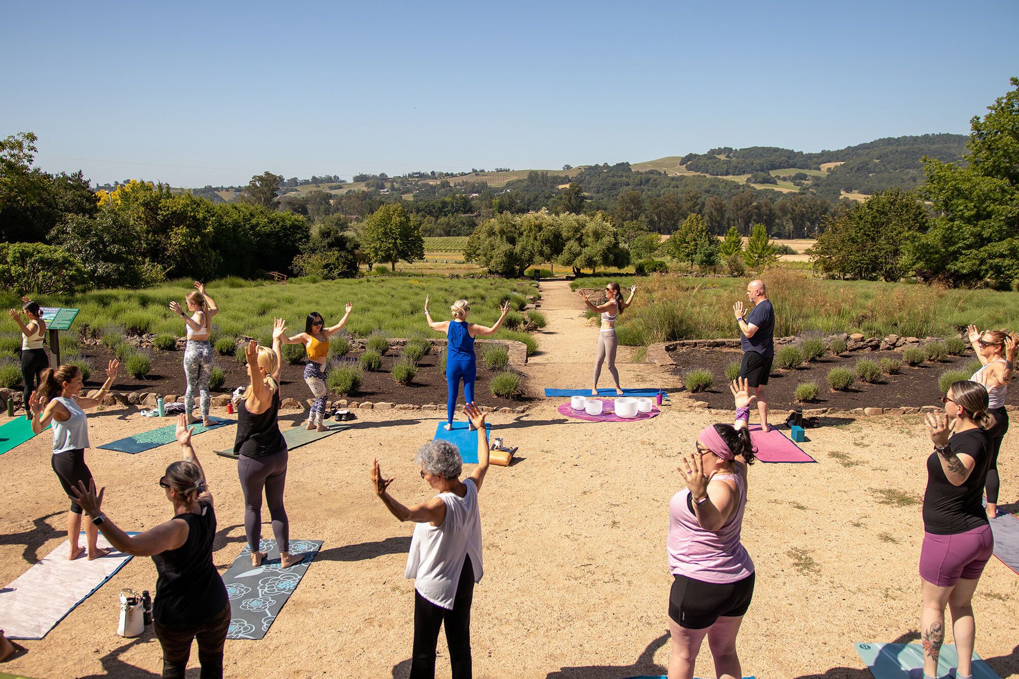 A group of people in a circle being led through a yoga glass with fields of lavender hills in the background.
