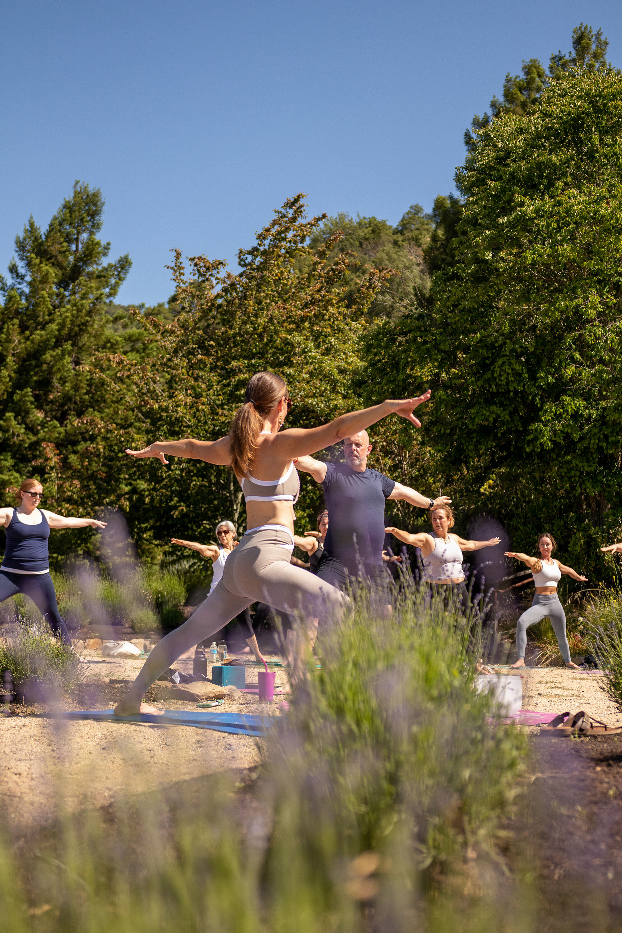 A woman doing yoga with a group of people amongst a lavender field.