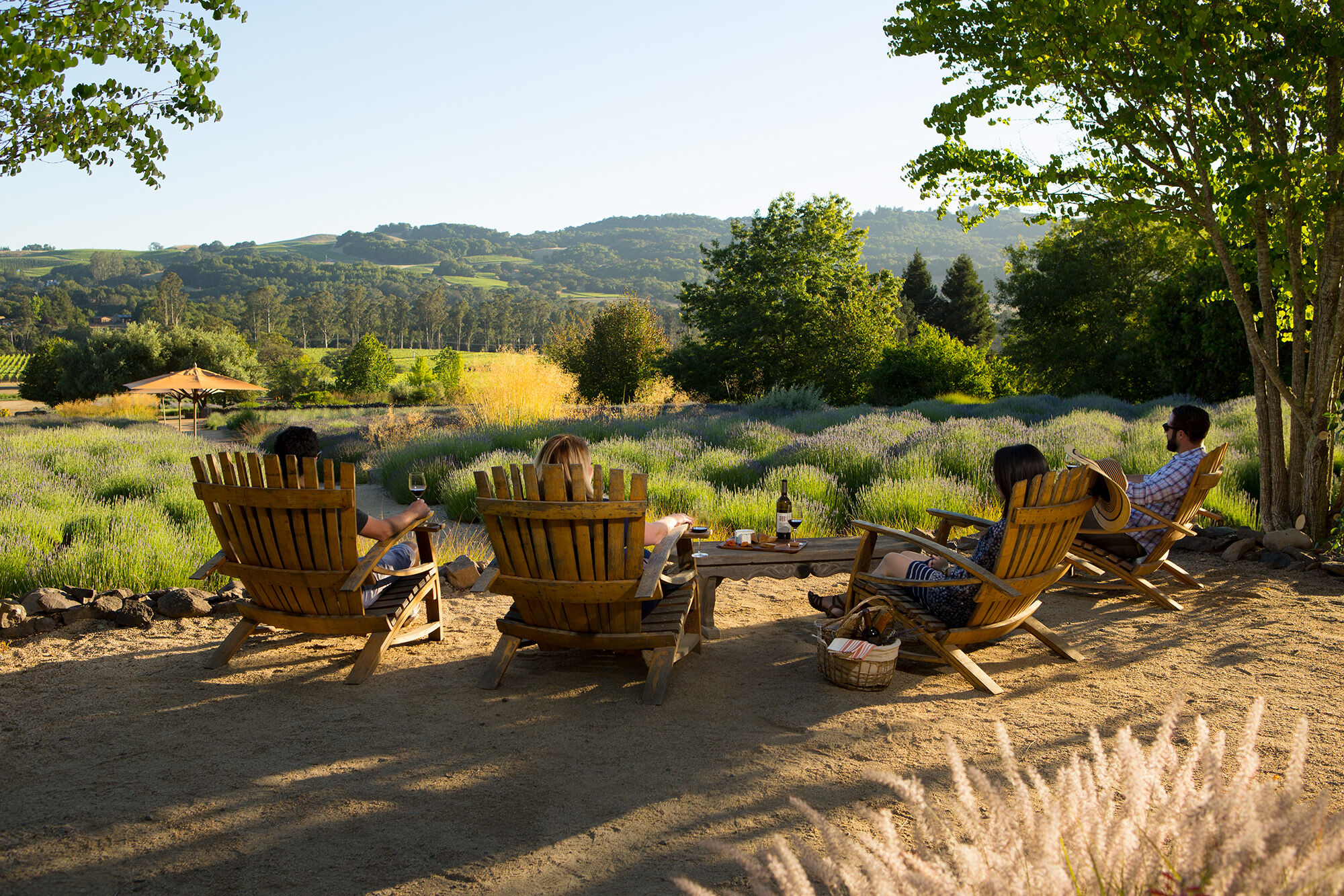 A group of people in adirondack chairs looking over a lavender field.