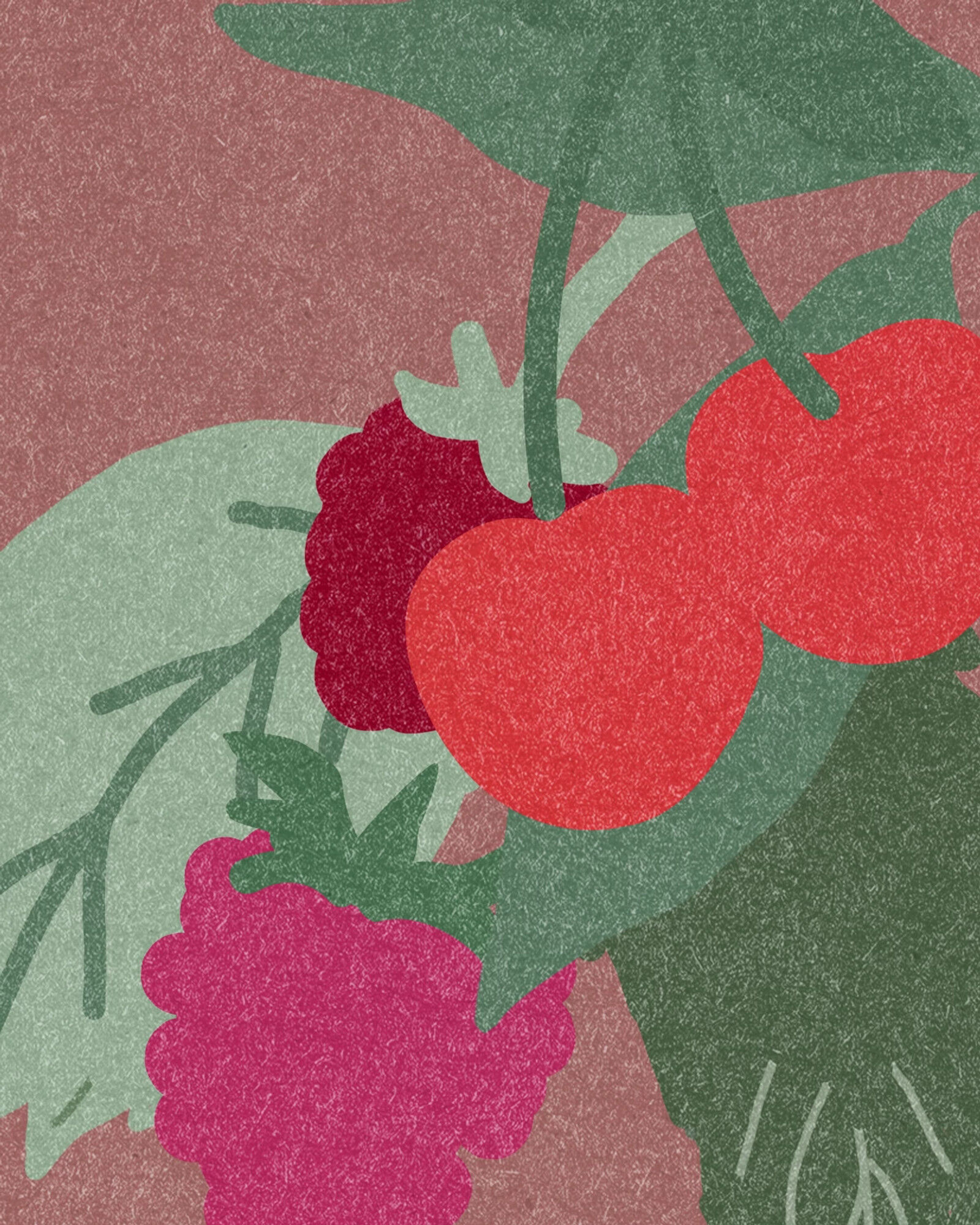 Taylor Peak Vineyard Pinot Noir