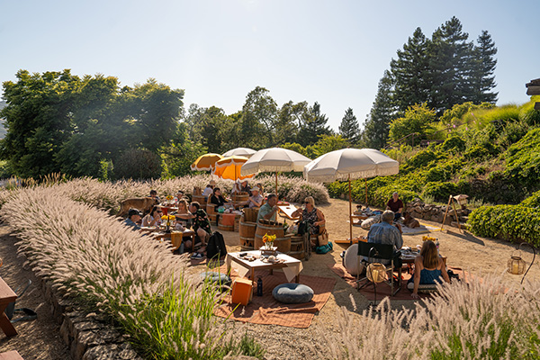 Groups of people at an outside event at tables with yellow umbrellas.