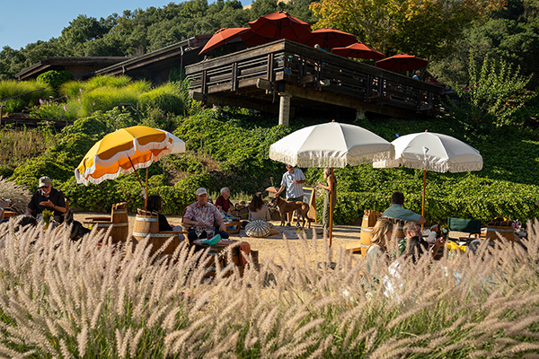 Groups of people at an outside event at tables with yellow umbrellas.