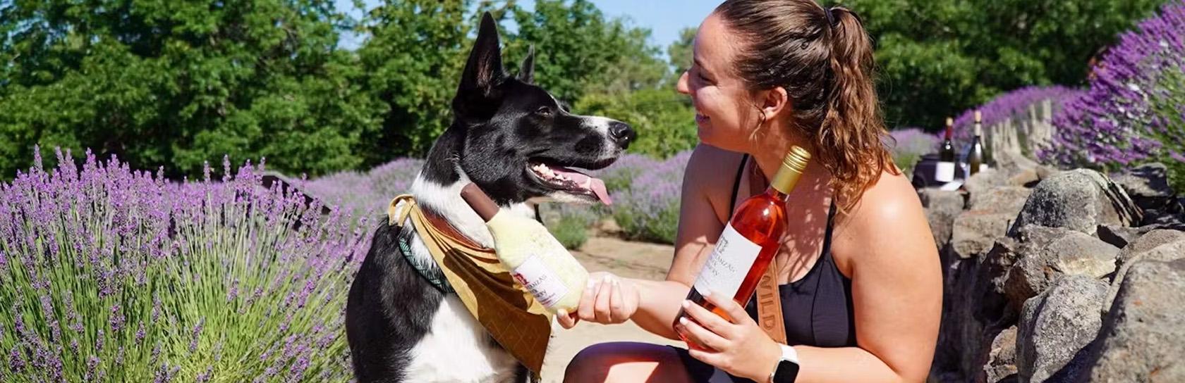 Matanzas Creek Dog Day Celebration
